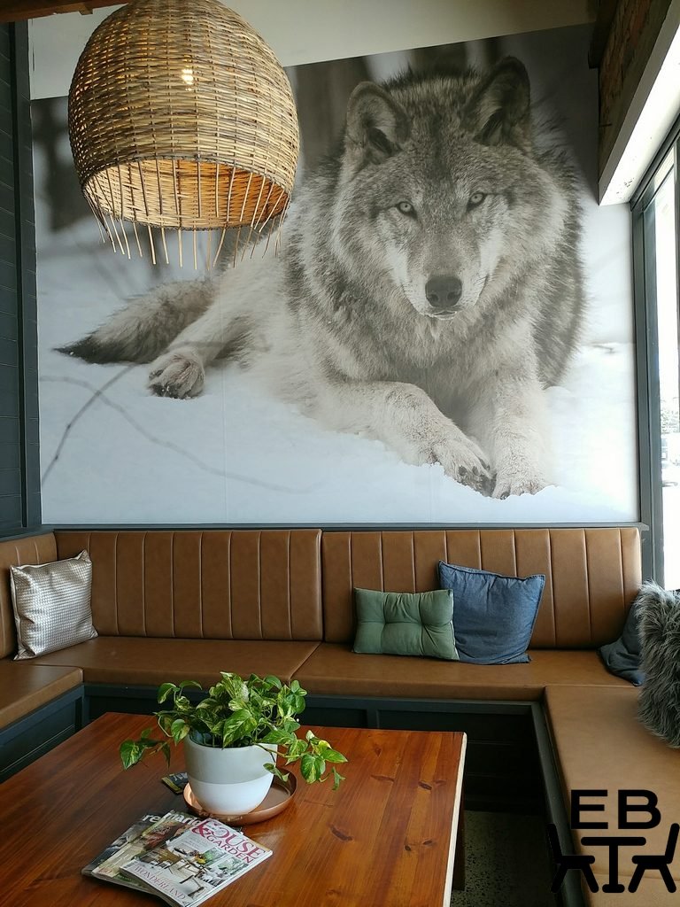 where the wolves eat lounge