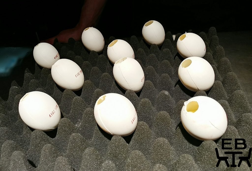 gelato messina degustation eggs