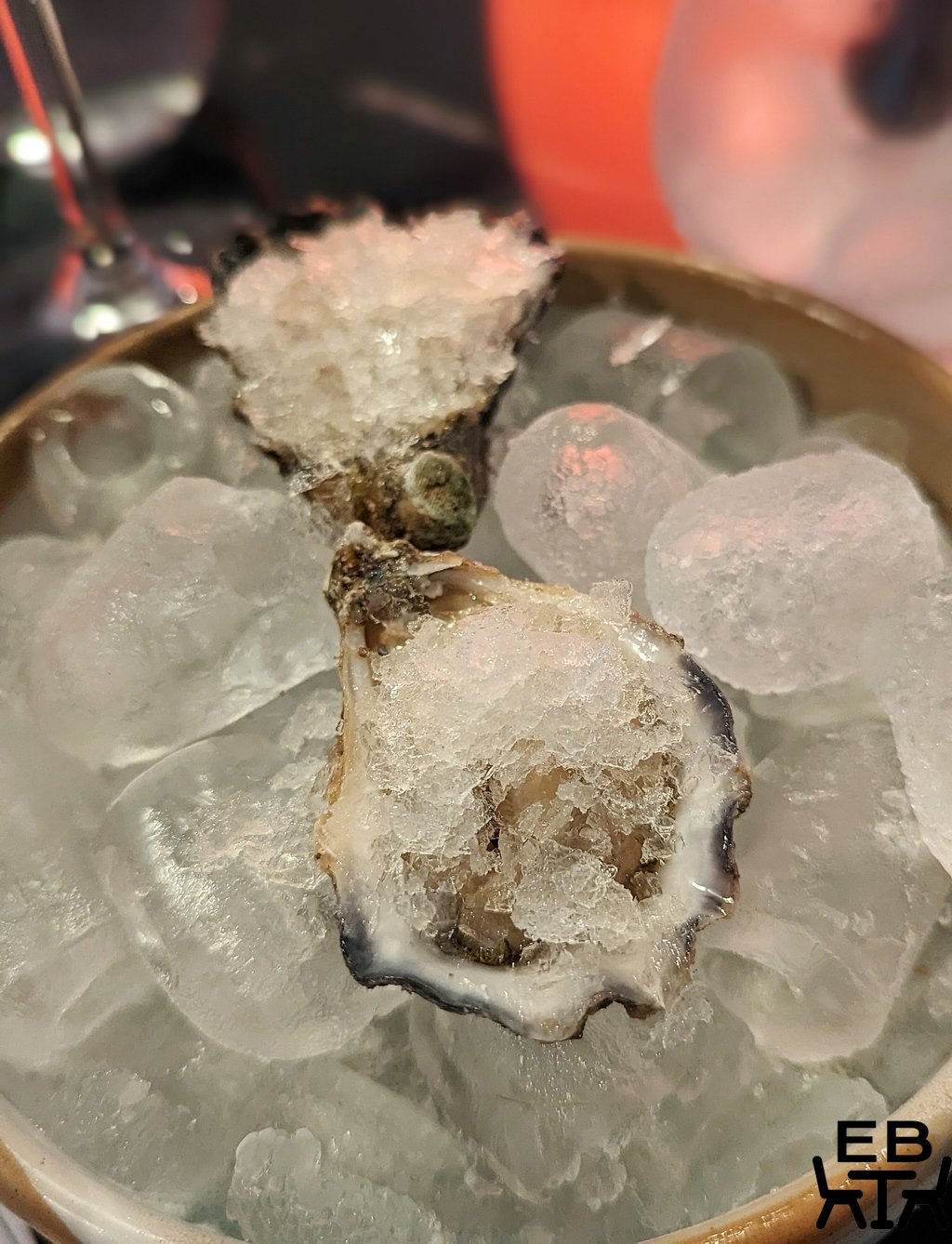 arbutus oysters